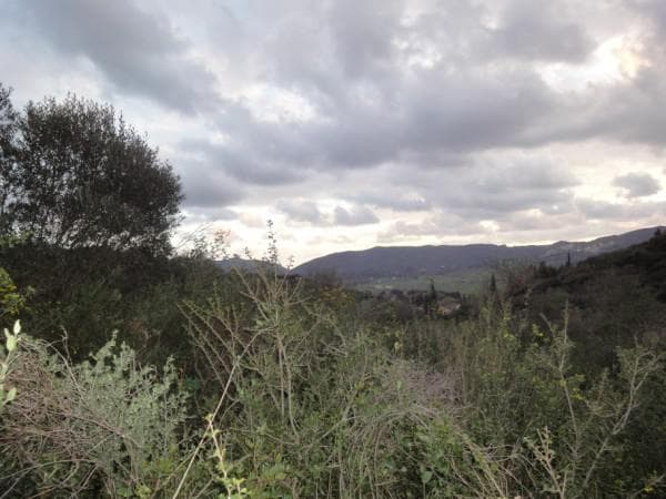 Building Plot in Pareli, Corfu — Photo 5 of 5