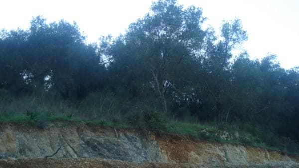 Building Plot in Faiakes, Corfu — Photo 2 of 7