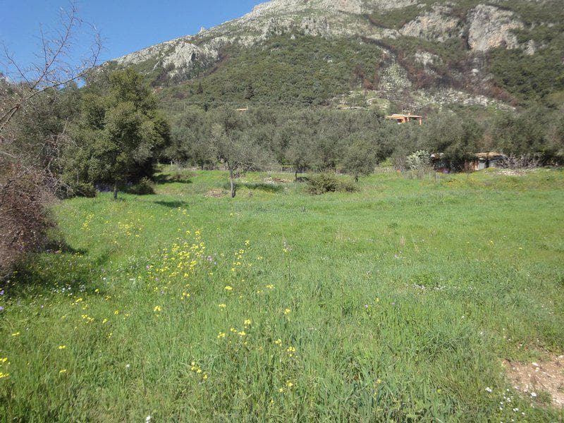 Building Plot in Faiakes, Corfu — Photo 17 of 26