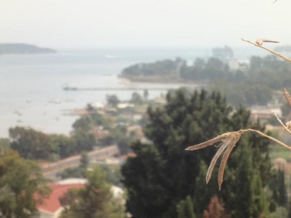 Οικόπεδο στην Παρέλι, Κέρκυρα — Φωτογραφία 2 από 5