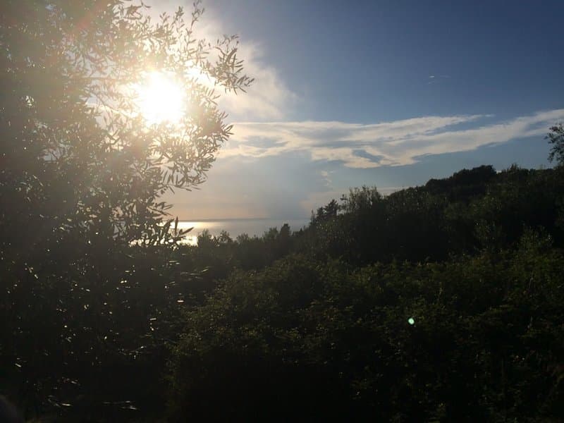 Οικόπεδο στην Αχίλλειο, Κέρκυρα — Φωτογραφία 8 από 26