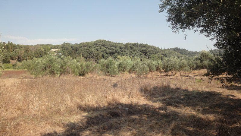 Οικόπεδο στην Άγιος Γεώργιος, Κέρκυρα — Φωτογραφία 15 από 23