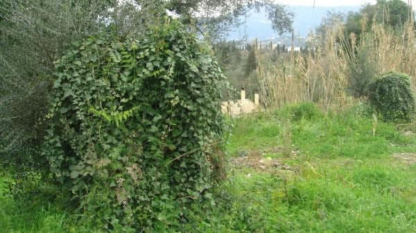 Building Plot in Pareli, Corfu — Photo 3 of 6