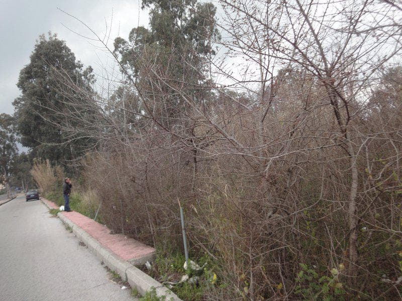 Οικόπεδο στην Παρέλι, Κέρκυρα — Φωτογραφία 22 από 30
