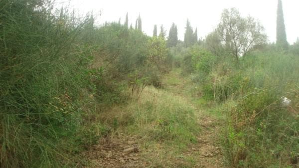 Οικόπεδο στην Φαίακες, Κέρκυρα — Φωτογραφία 4 από 6