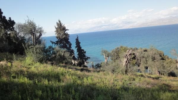 Οικόπεδο στην Κασσιόπη, Κέρκυρα — Φωτογραφία 9 από 12