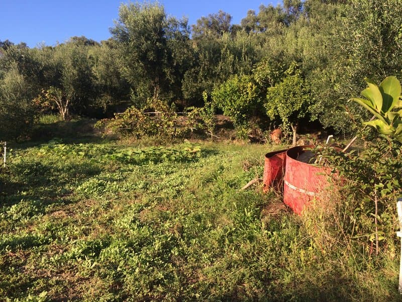 Οικόπεδο στην Αχίλλειο, Κέρκυρα — Φωτογραφία 22 από 26