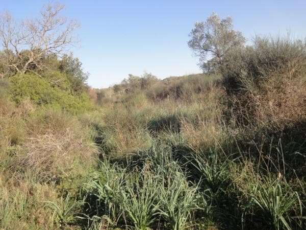 Building Plot in Faiakes, Corfu — Photo 3 of 5