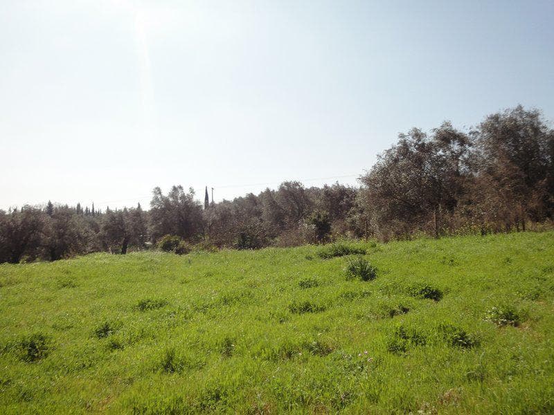 Building Plot in Faiakes, Corfu — Photo 19 of 26