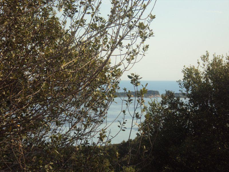 Οικόπεδο στην Βασιλάτικα, Κέρκυρα — Φωτογραφία 4 από 30