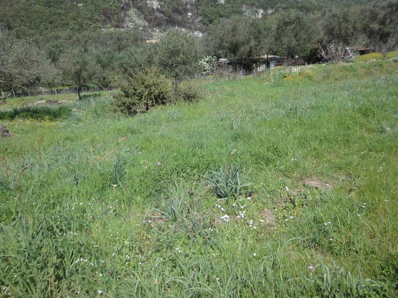 Building Plot in Faiakes, Corfu — Photo 9 of 26