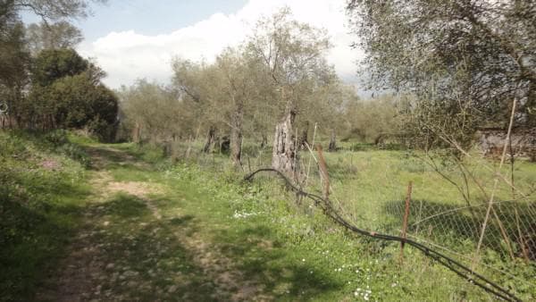 Building Plot in Pareli, Corfu — Photo 4 of 14
