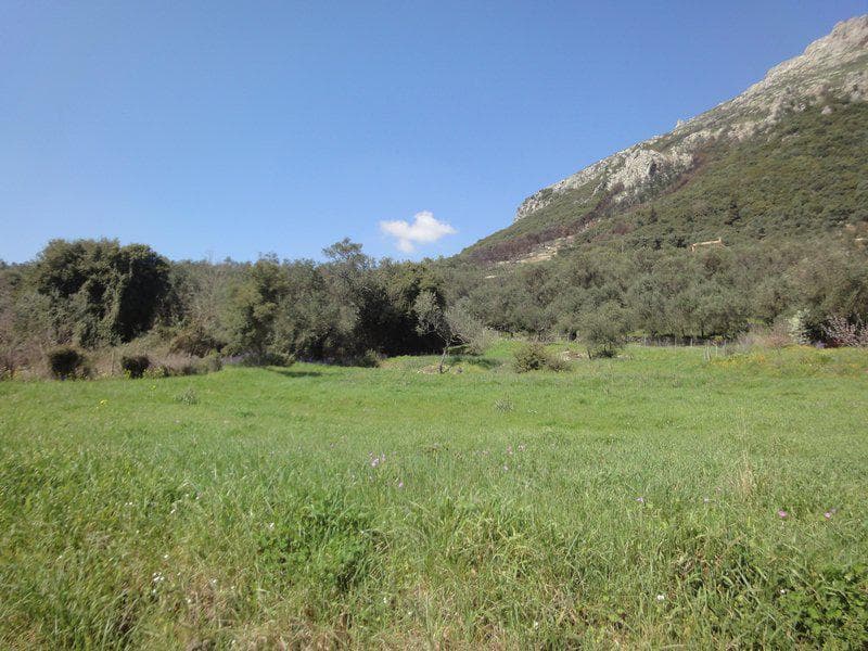 Building Plot in Faiakes, Corfu — Photo 1 of 26