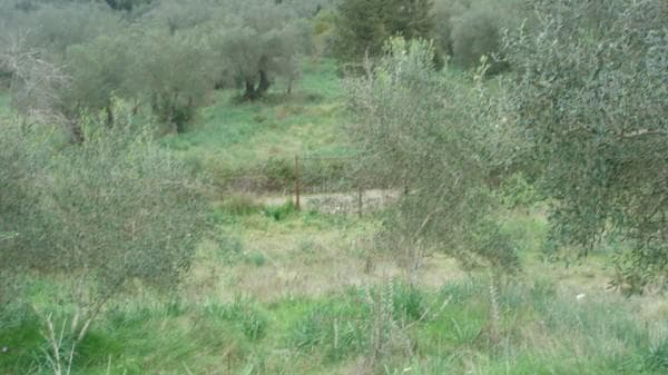 Building Plot in Pareli, Corfu — Photo 23 of 26