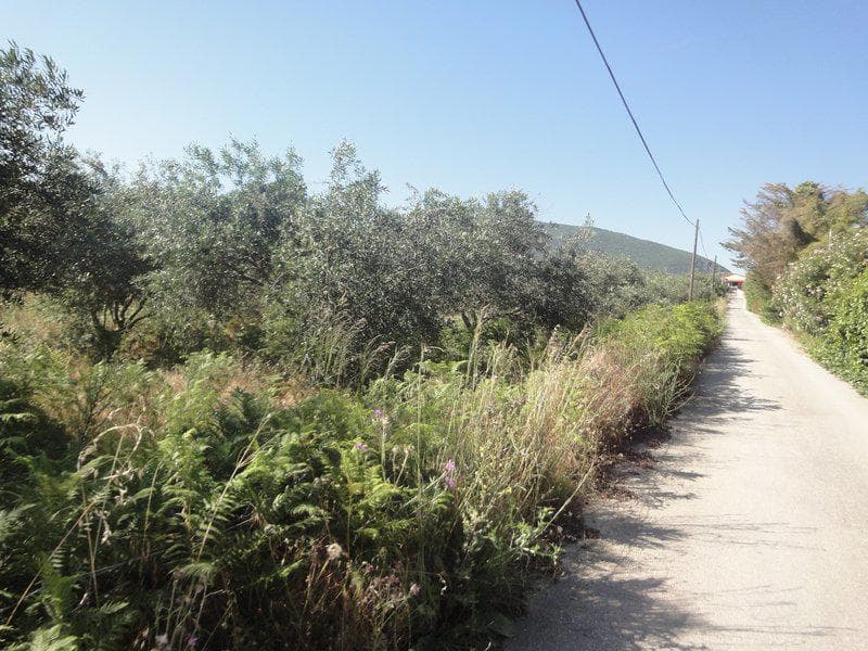 Οικόπεδο στην Μελιτειέοι, Κέρκυρα — Φωτογραφία 9 από 20