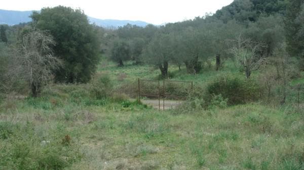 Building Plot in Pareli, Corfu — Photo 24 of 26