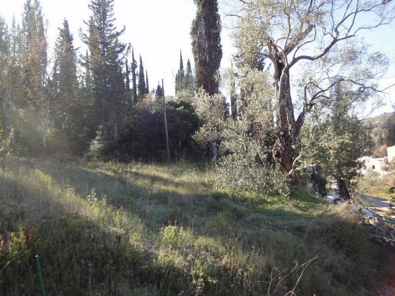 Οικόπεδο στην Αχίλλειο, Κέρκυρα — Φωτογραφία 20 από 24