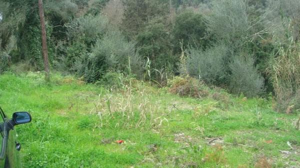 Building Plot in Pareli, Corfu — Photo 4 of 6