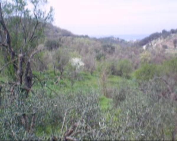 Building Plot in Kassiopi, Corfu — Photo 4 of 6