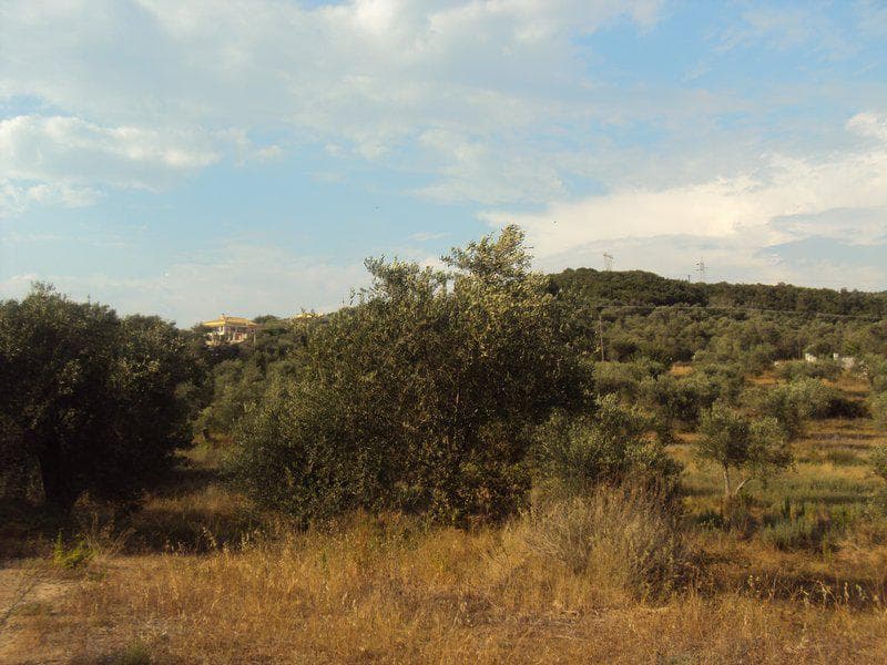 Οικόπεδο στην Βασιλάτικα, Κέρκυρα — Φωτογραφία 7 από 30