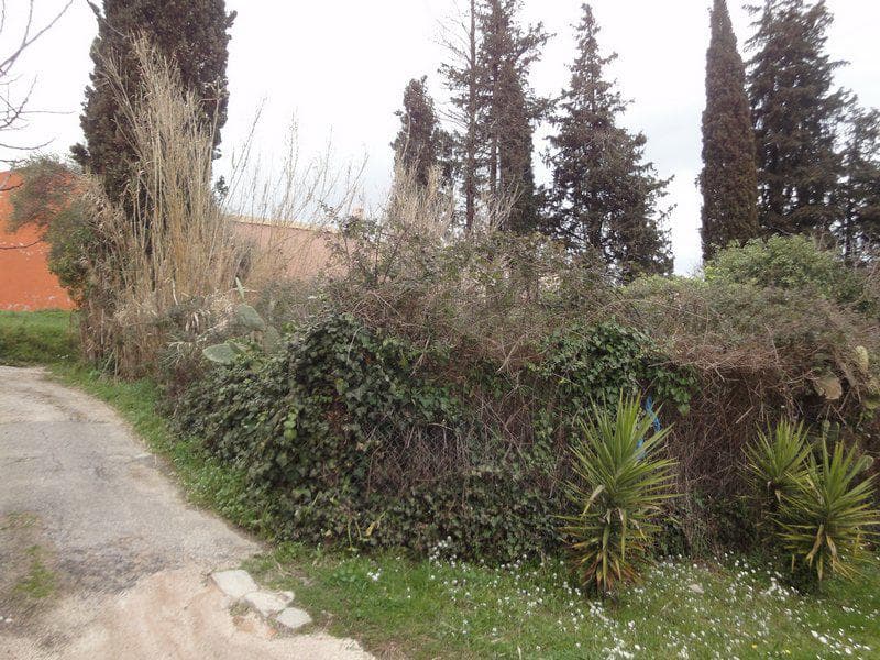 Οικόπεδο στην Παρέλι, Κέρκυρα — Φωτογραφία 10 από 11