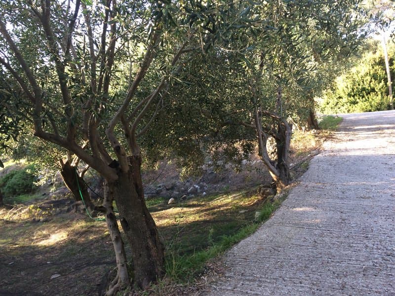 Οικόπεδο στην Αχίλλειο, Κέρκυρα — Φωτογραφία 18 από 26