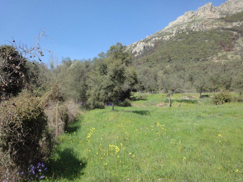 Building Plot in Faiakes, Corfu — Photo 22 of 26