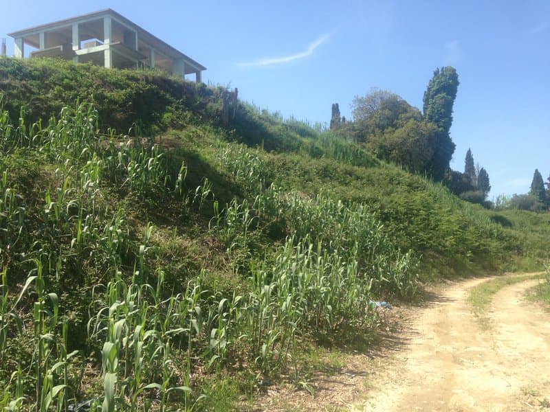 House in Othonoi, Corfu — Photo 24 of 30