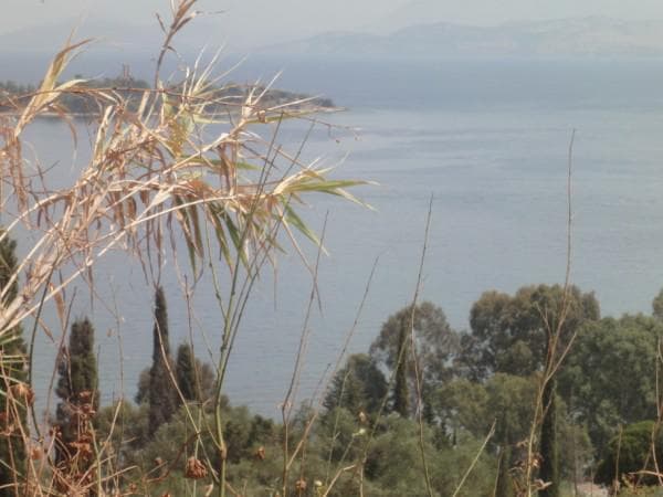 Οικόπεδο στην Παρέλι, Κέρκυρα — Φωτογραφία 5 από 5