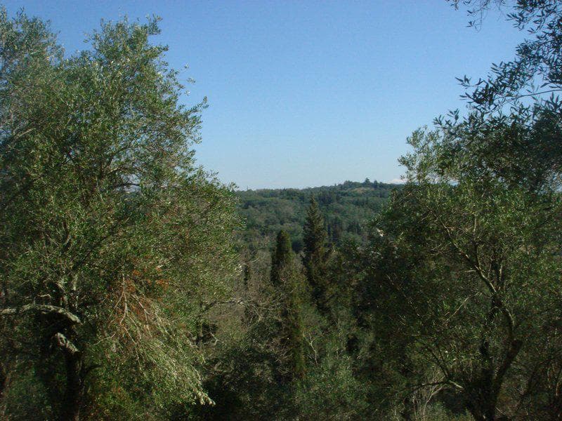 Οικόπεδο στην Φαίακες, Κέρκυρα — Φωτογραφία 9 από 26