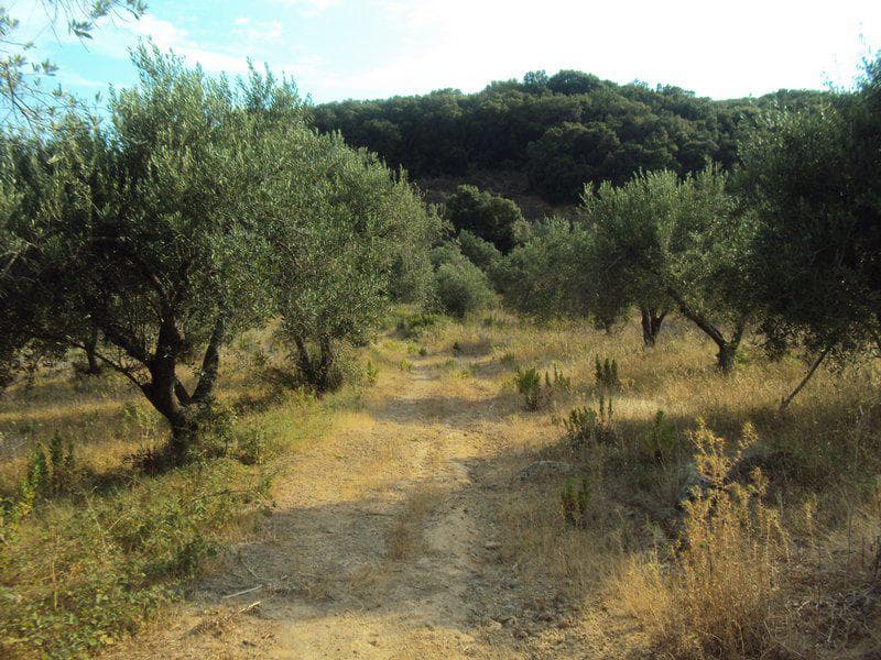 Οικόπεδο στην Βασιλάτικα, Κέρκυρα — Φωτογραφία 9 από 30