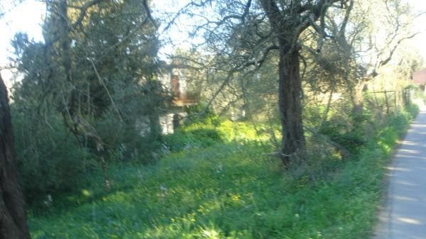 Building Plot in Pareli, Corfu — Photo 1 of 2