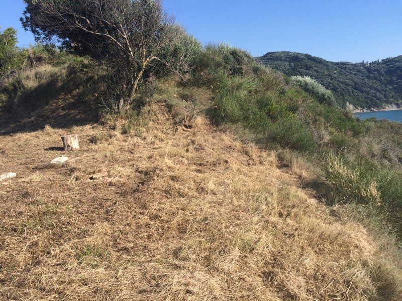 Οικόπεδο στην Άγιος Γεώργιος, Κέρκυρα — Φωτογραφία 10 από 23