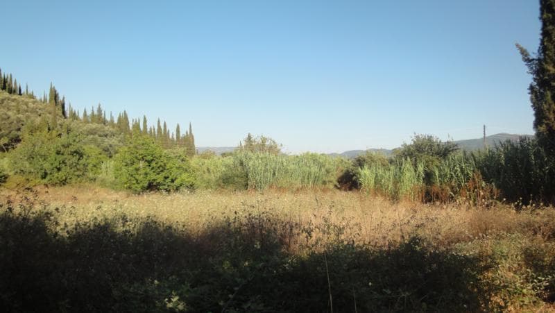 Οικόπεδο στην Άγιος Γεώργιος, Κέρκυρα — Φωτογραφία 5 από 6