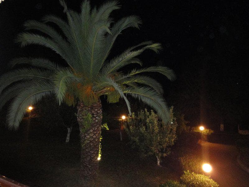 Hotel in Pareli, Corfu — Photo 24 of 25