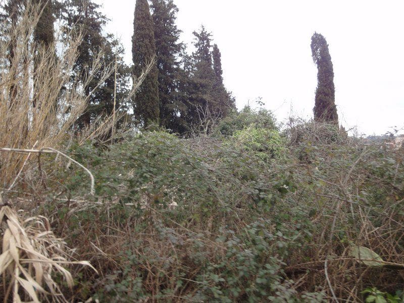 Οικόπεδο στην Παρέλι, Κέρκυρα — Φωτογραφία 6 από 11