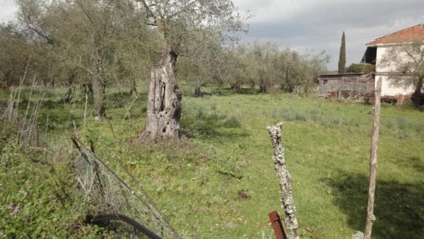 Building Plot in Pareli, Corfu — Photo 7 of 14