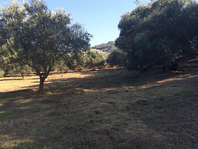 Οικόπεδο στην Άγιος Γεώργιος, Κέρκυρα — Φωτογραφία 18 από 23