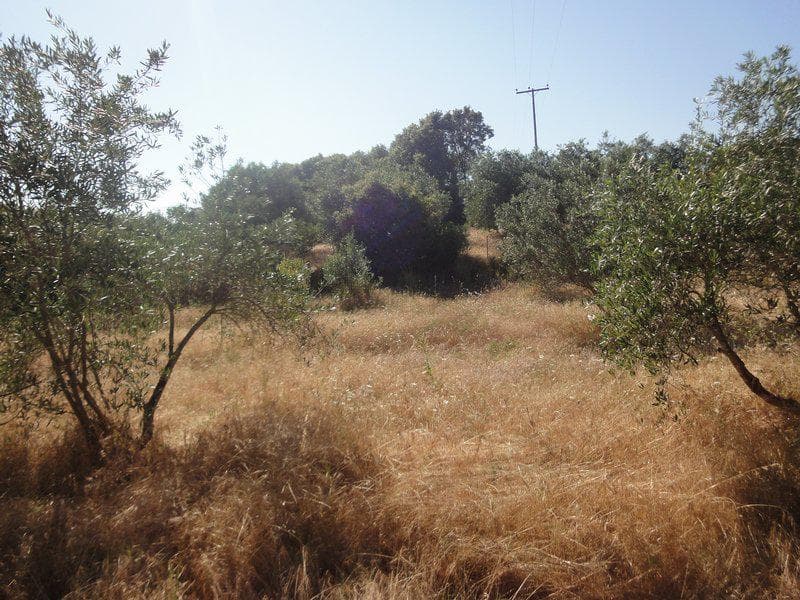 Οικόπεδο στην Μελιτειέοι, Κέρκυρα — Φωτογραφία 17 από 20