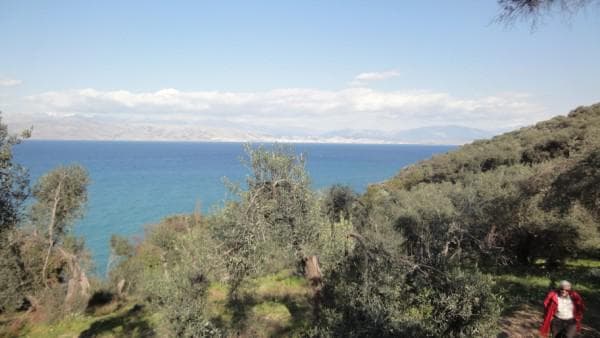 Οικόπεδο στην Κασσιόπη, Κέρκυρα — Φωτογραφία 6 από 12