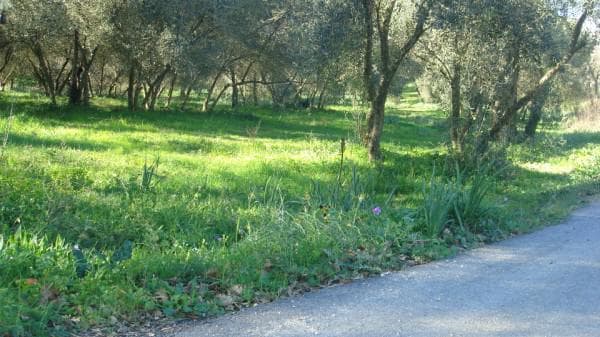 Building Plot in Palaiokastritsa, Corfu — Photo 4 of 5