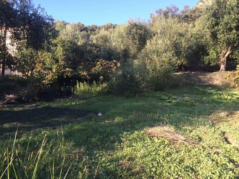 Οικόπεδο στην Αχίλλειο, Κέρκυρα — Φωτογραφία 16 από 26