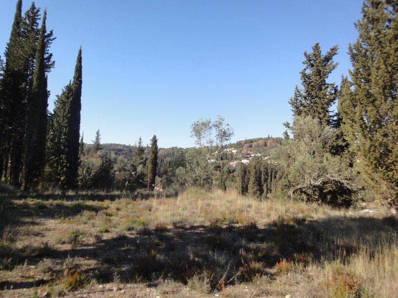 Οικόπεδο στην Αχίλλειο, Κέρκυρα — Φωτογραφία 9 από 24