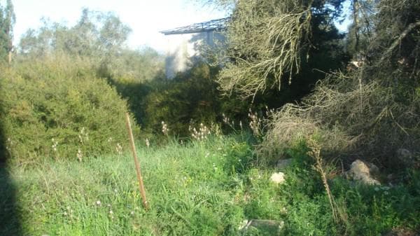 Building Plot in Pareli, Corfu — Photo 2 of 2