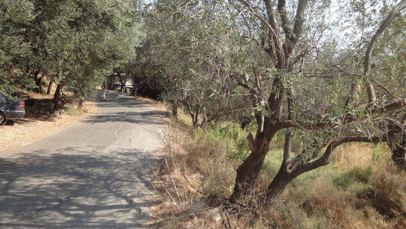 Οικόπεδο στην Μελιτειέοι, Κέρκυρα — Φωτογραφία 4 από 10