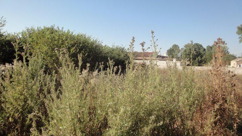 Building Plot in Αgios Georgios, Corfu — Photo 3 of 5