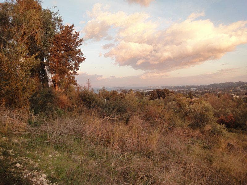 Οικόπεδο στην Φαίακες, Κέρκυρα — Φωτογραφία 8 από 13