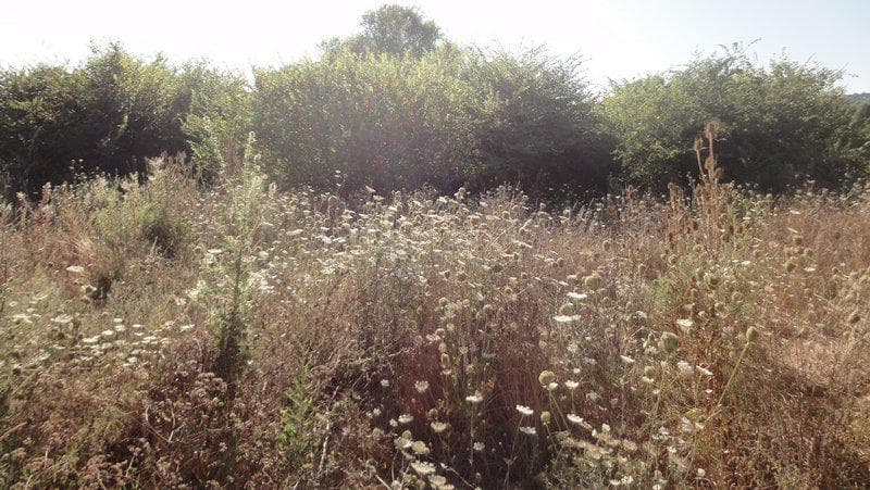 Building Plot in Αgios Georgios, Corfu — Photo 2 of 5