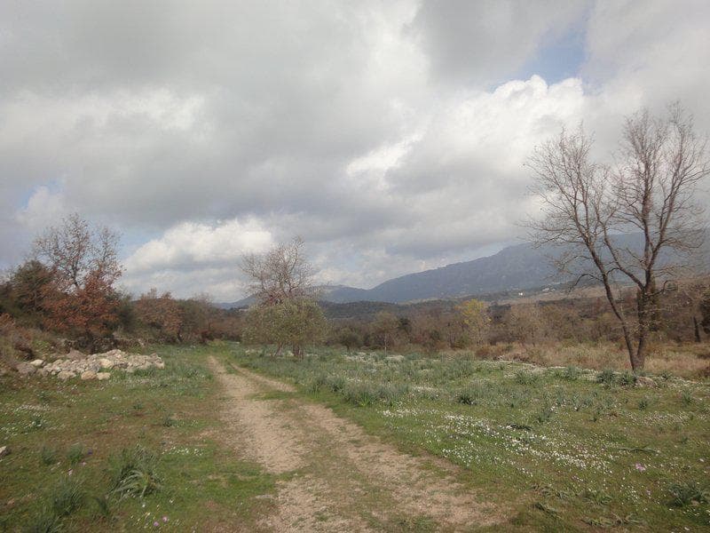 Οικόπεδο στην Παλαιοκαστρίτσα, Κέρκυρα — Φωτογραφία 23 από 23