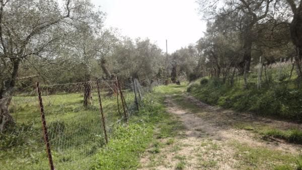 Building Plot in Pareli, Corfu — Photo 12 of 14